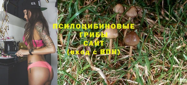 2c-b Краснослободск