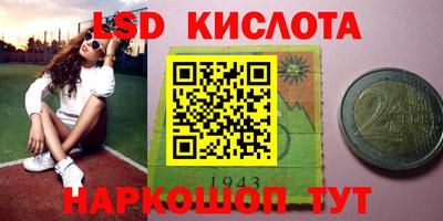 шишки Волгодонск