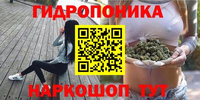 скорость Берёзовский