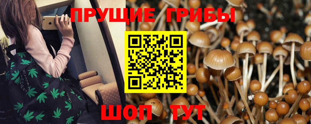 Псилоцибиновые грибы Cubensis  Волжский  магазин    Галлюциногенные грибы ЛСД 