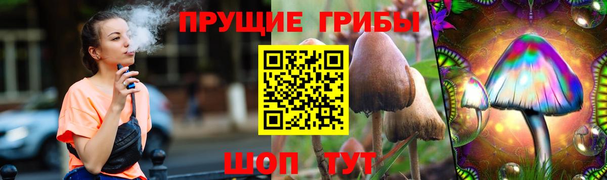 Псилоцибиновые грибы GOLDEN TEACHER  Вход с VPN  Псилоцибиновые грибы Magic Shrooms  Волжский 